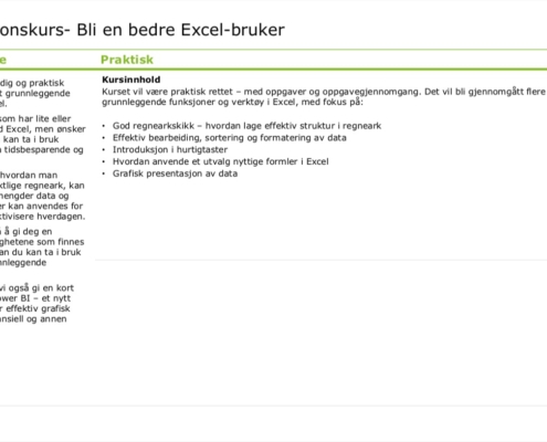 Excelkurs Deloitte - FIN