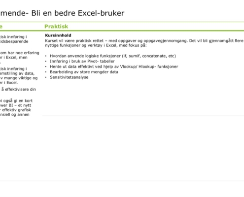 Excelkurs Deloitte - FIN