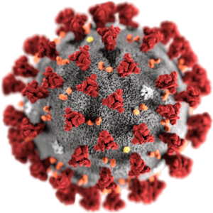 COVID-19 koronavirus - florain.no