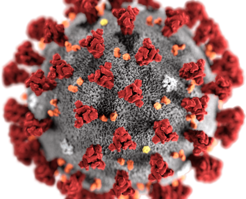 COVID-19 koronavirus - florain.no